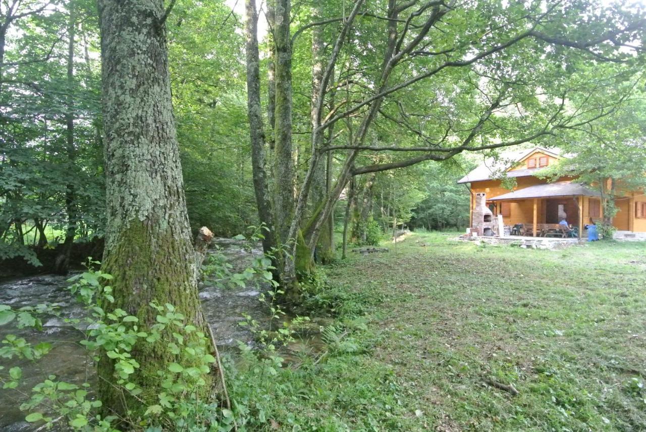 Chalet By The River Ferencfalva Kültér fotó